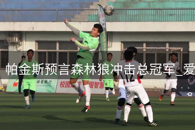 帕金斯预言森林狼冲击总冠军 爱德华兹或包揽MVP与得分王双料荣誉