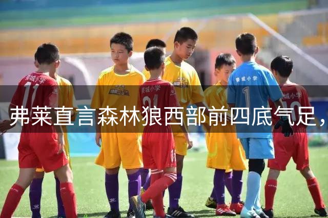 弗莱直言森林狼西部前四底气足，火箭新赛季能否突围引热议