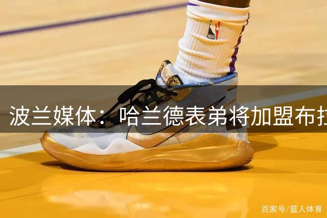 波兰媒体：哈兰德表弟将加盟布拉格斯巴达 转会费600万创队史纪录
